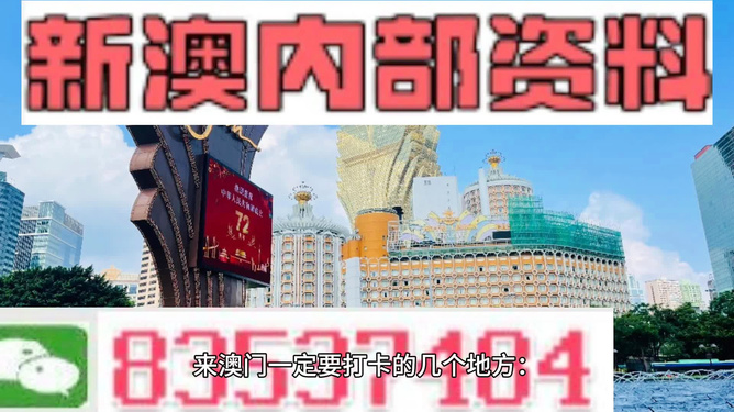 新澳门最精准正最精准龙门，探索现代博彩业的魅力与奥秘，现代博彩业魅力与奥秘揭秘，新澳门最精准龙门探索之旅