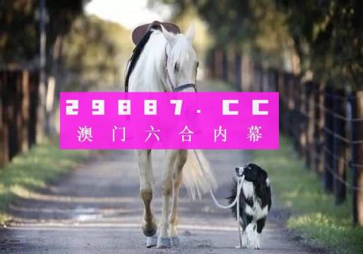 澳门六开奖结果33图库，探索与解析，澳门六开奖结果33图库，深度探索与解析