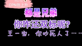 一肖是啥意思——探究生肖文化的深层内涵，一肖的含义探究，生肖文化的深层内涵解读