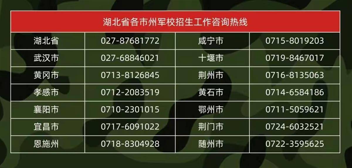 揭秘中国人民解放军31677部队，级别与荣耀的彰显，中国人民解放军31677部队，级别与荣耀的展现
