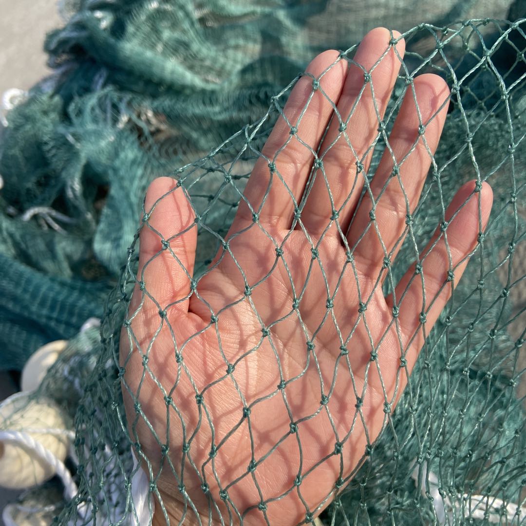 部个么海大网种集——探索海洋世界的奥秘与机遇，探索海洋世界，奥秘与机遇——海洋大学集结网种
